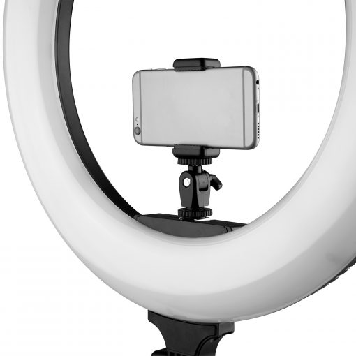 Ikan Aro de Luz RLB40-M 14¨ Bicolor - Imagen 2