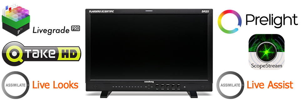 Flanders Scientific Monitor DM 231 - Imagen 2